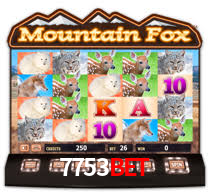 7753bet,7753bet.com