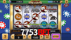 7753bet